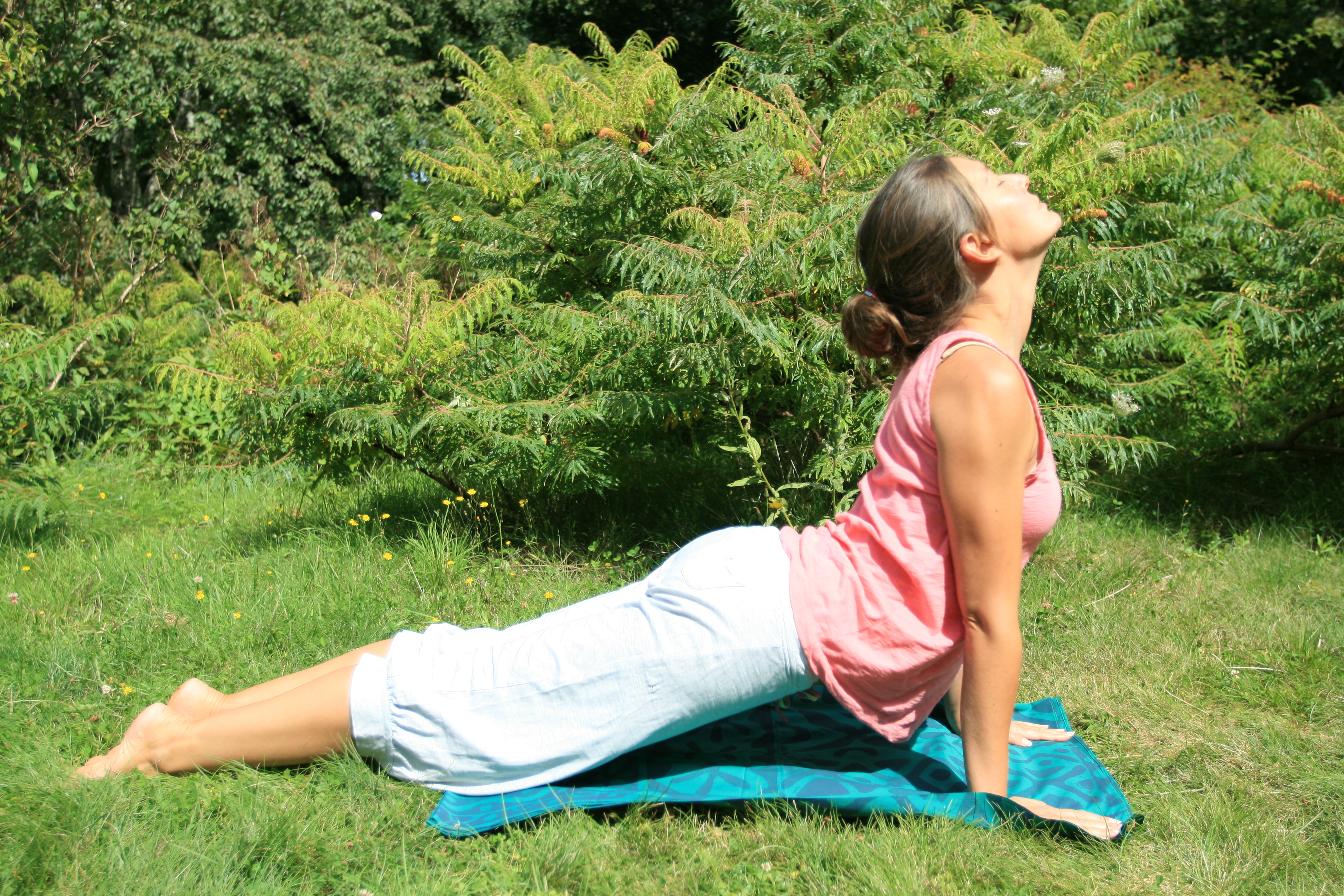 Urdhva adho mukha avec Elodie Yoga à Paris et Boulogne Billancourt